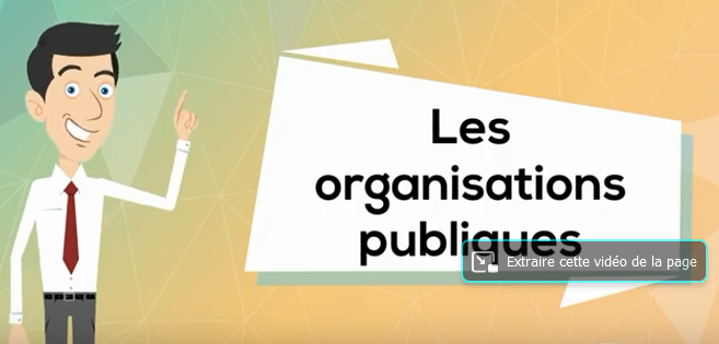 Les criteres et les specificites des organisations publiques STMG