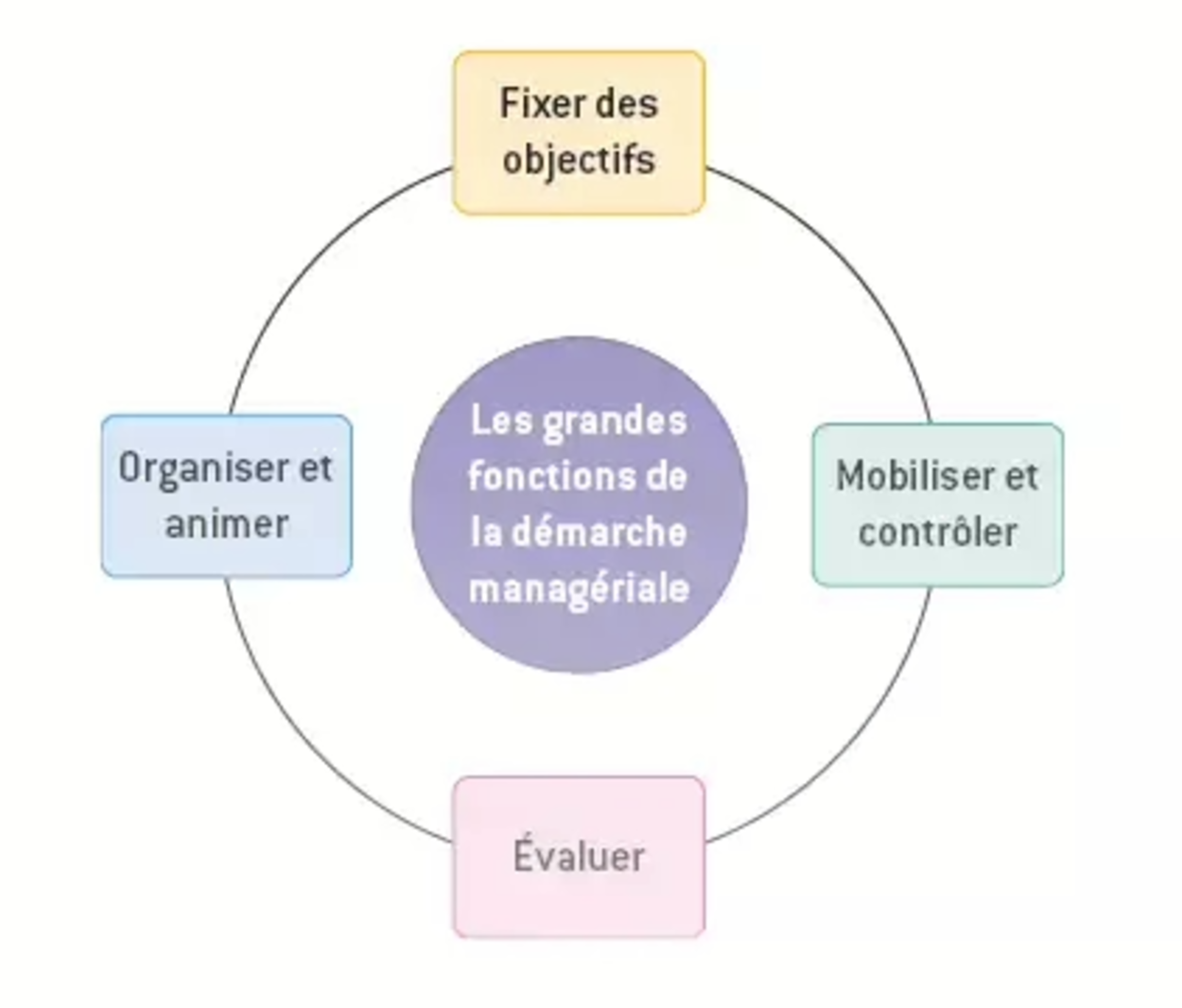 les fonctions du management Terminale stmg